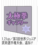 太極拳ギャラリー：7.30up／第27回全日本選手権大会　追加！
