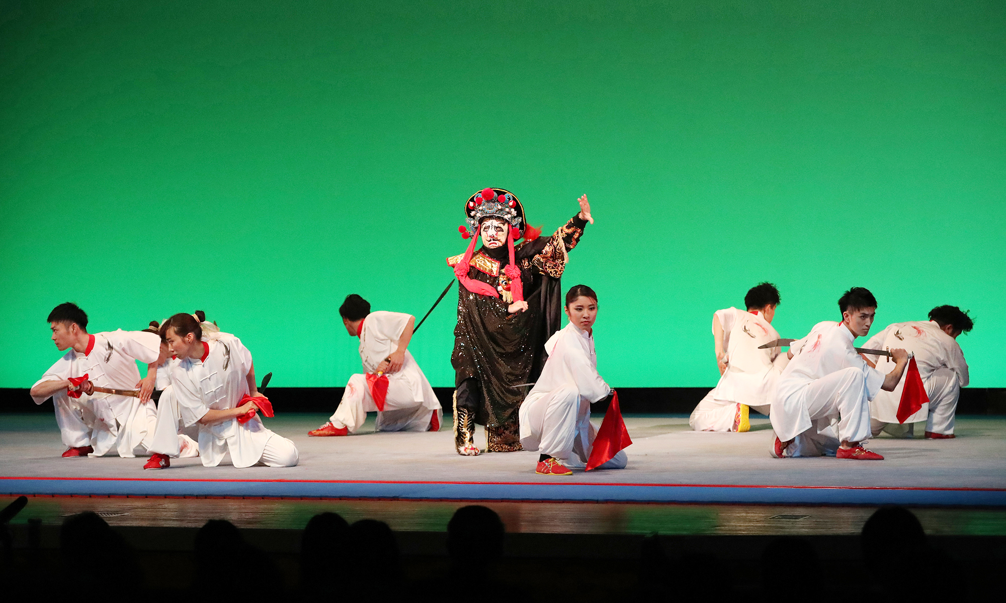 舞台「武術太極拳」