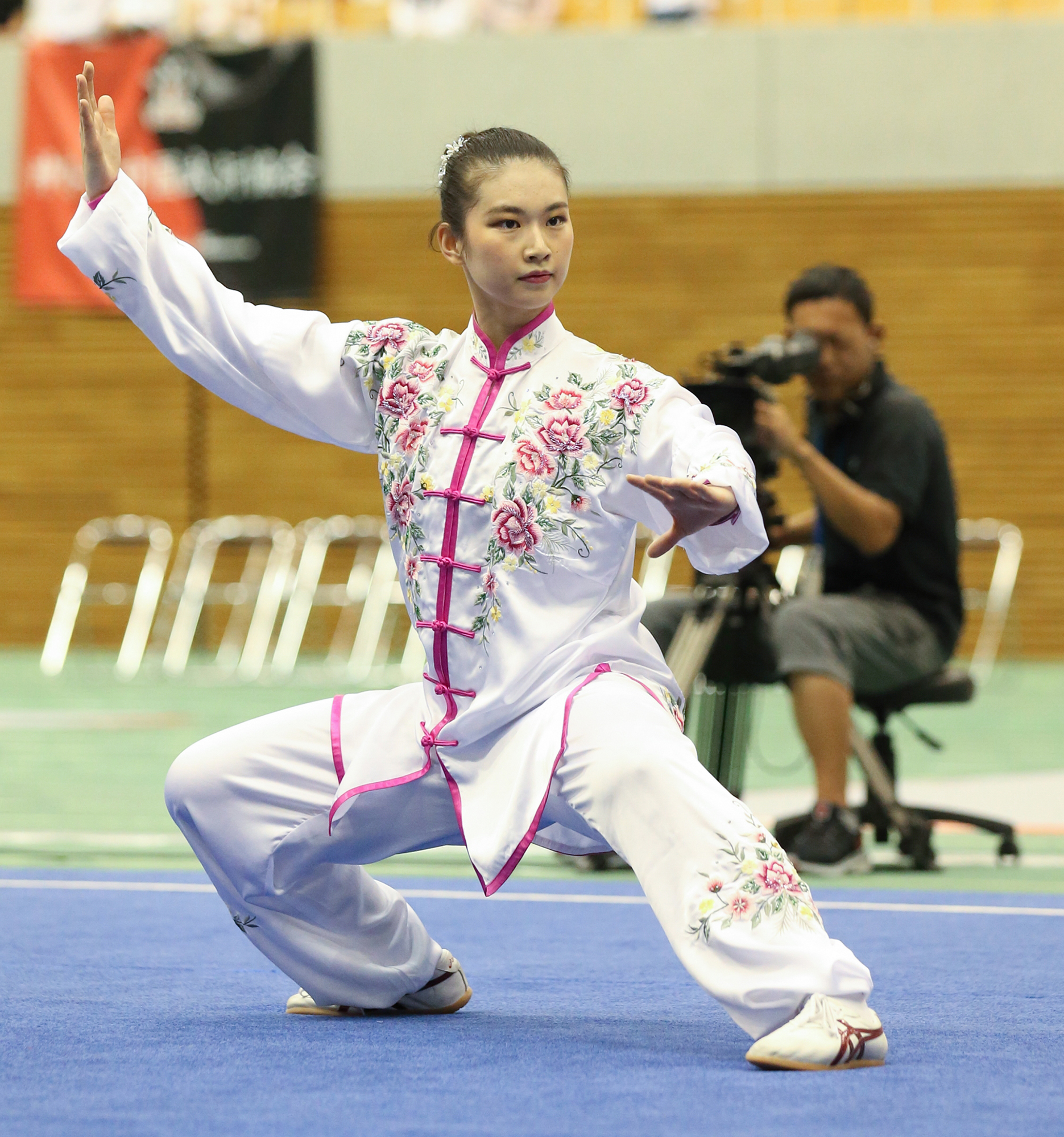 日本 武術 太極 拳 連盟