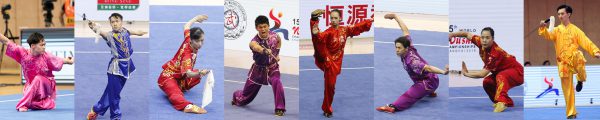 第15回世界武術選手権大会