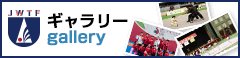 日本武術太極拳連盟 公式ギャラリー