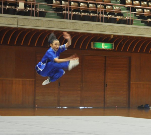 躍動感あふれる長拳の演武