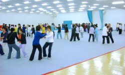 推手講習会 推手講習会