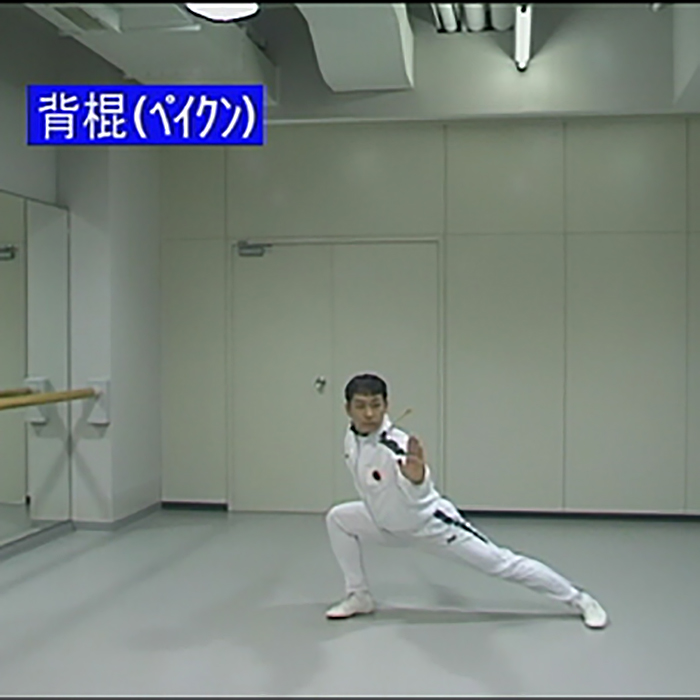 入門棍術」DVD | 動画 | 公益社団法人日本武術太極拳連盟
