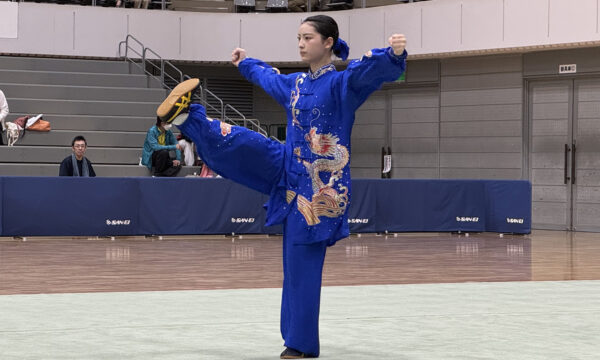 優雅な動きの中に力強さを秘めた太極拳の美しい演武
