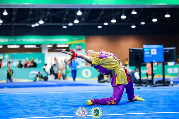 世界各国の選手が多彩な種目の演武を披露