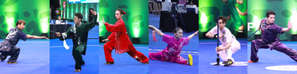 第17回世界武術選手権大会 日本代表選手（套路）