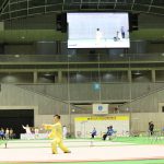 第34回全日本武術太極拳選手権大会」（東京体育館）より