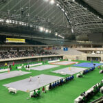 「第42回全日本武術太極拳選手権大会」（東京体育館）より